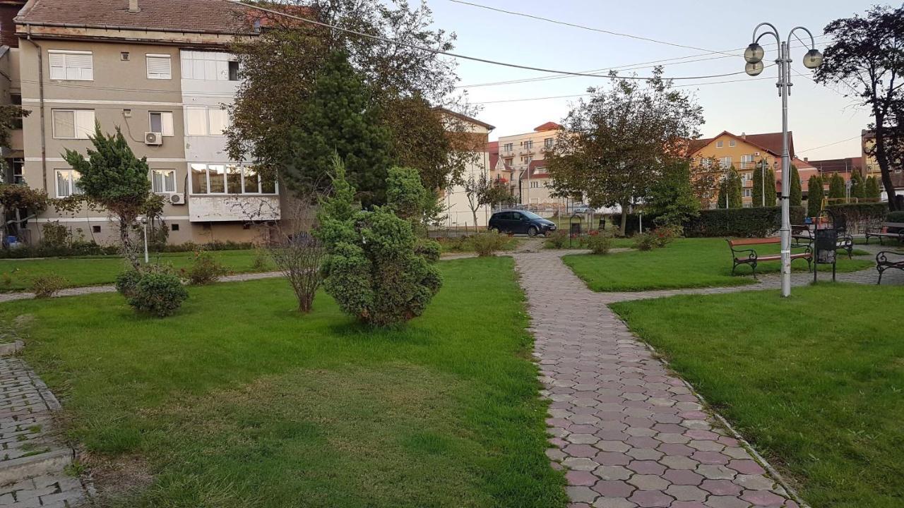 Apartament Ema Баиле Феликс Экстерьер фото